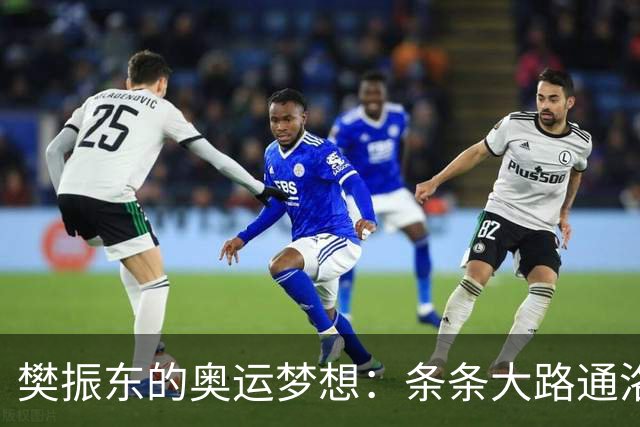 樊振东的奥运梦想：条条大路通洛杉矶，唯独不包括“特例
